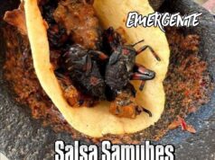 Salsa prehispánica de Xamues o Tantarria