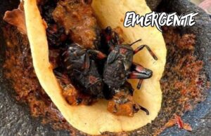 Salsa prehispánica de Xamues o Tantarria