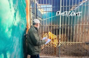 Wameru tendrá inversión privada: Mauricio Kuri