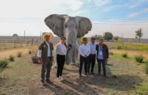 Proyectan reapertura del zoológico Wamerú para el 21 de marzo