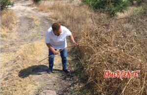 Familia de Ángela Daniela, busca en baldíos, posible fosa 🔎⛏️