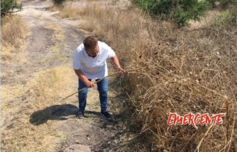 Familia de Ángela Daniela, busca en baldíos, posible fosa 🔎⛏️