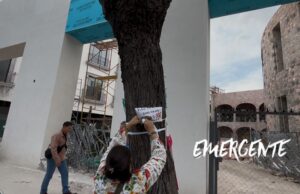 Exigen respeto a los árboles en avenida Universidad