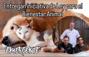Entregan iniciativa de Ley por el Bienestar Animal en Querétaro