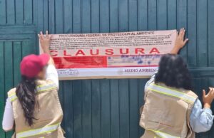 Profepa clausura tala ilegal. En Tequis y Corregidora