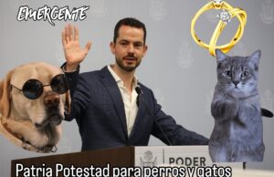 Buscan patria potestad para perros y gatos
