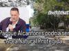 Buscarán declaratoria de área natural protegida para Los Alcanfores ante proyecto del tren México–Querétaro