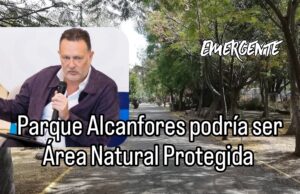 Buscarán declaratoria de área natural protegida para Los Alcanfores ante proyecto del tren México–Querétaro