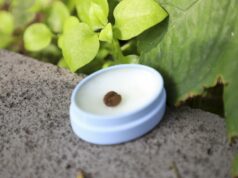 Pulpa de café para el cuidado facial, propuesta cosmética de estudiante UAQ