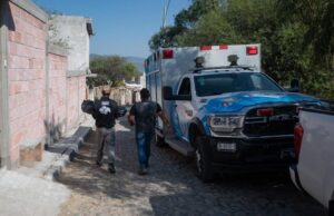 Investigan 4 actos de crueldad animal en El Márques