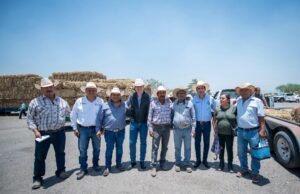 El Marqués rehabilita Bordo Nuevo