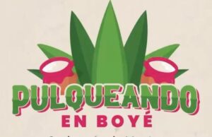 Celebrarán el Día Nacional del Pulque en Boyé