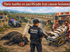 Toro suelto en Pedro Escobedo