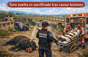 Toro suelto en Pedro Escobedo