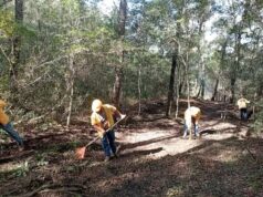Colocan brechas corta fuegos en Amealco y Jalpan