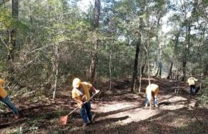 Colocan brechas corta fuegos en Amealco y Jalpan