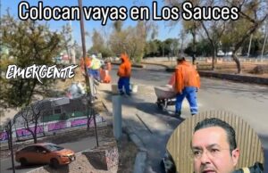 Colocan vayas en Los Sauces