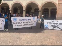 Veterinarios de Querétaro denuncian agresiones