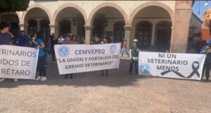 Veterinarios de Querétaro denuncian agresiones