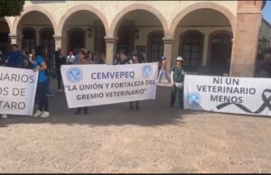 Veterinarios de Querétaro denuncian agresiones