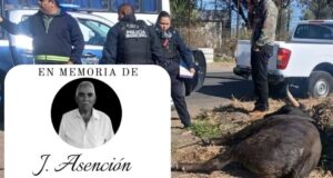 Confirman fallecimiento del Sr. Chonito tras el incidente del toro fuera de control en Pedro Escobedo