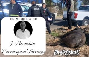 Confirman fallecimiento del Sr. Chonito tras el incidente del toro fuera de control en Pedro Escobedo