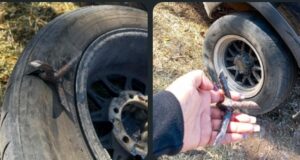 Balean a un hombre en San Nicolás, Jalpan