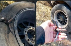 Balean a un hombre en San Nicolás, Jalpan