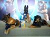 Homenaje a perros policiales de la Unidad K9 El Márques