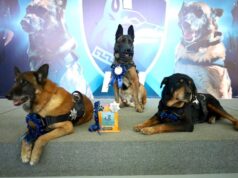 Homenaje a perros policiales de la Unidad K9 El Márques