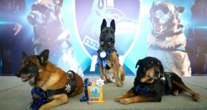 Homenaje a perros policiales de la Unidad K9 El Márques