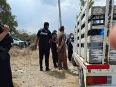 Detenido por tener 30 perros en malas condiciones en San Juan del Río