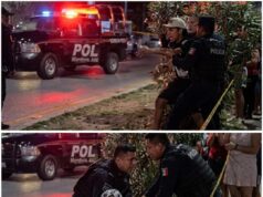 DÉJENME ABRAZAR A MI ABUELITA!