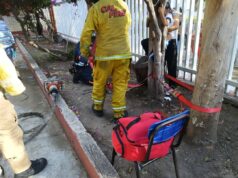 Rescatan a niña atrapada en un árbol en Pedro Escobedo