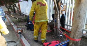 Rescatan a niña atrapada en un árbol en Pedro Escobedo