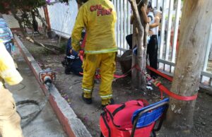 Rescatan a niña atrapada en un árbol en Pedro Escobedo