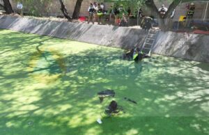 Localizan al segundo guaridbgallecifo en carcamo de Corregidora