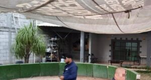 Clausura Municipio de Querétaro palenque clandestino en El Salitre