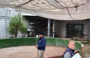 Clausura Municipio de Querétaro palenque clandestino en El Salitre