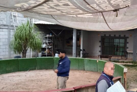 Clausura Municipio de Querétaro palenque clandestino en El Salitre