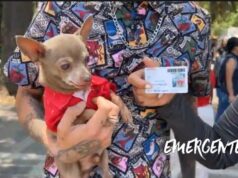 Jornada de afiliación al programa PetFriendly del sistema Qrobus