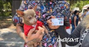 Jornada de afiliación al programa PetFriendly del sistema Qrobus