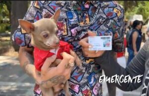 Jornada de afiliación al programa PetFriendly del sistema Qrobus