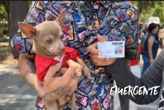 Jornada de afiliación al programa PetFriendly del sistema Qrobus