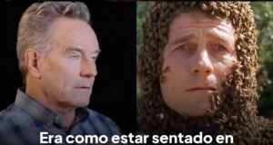 Las abejas de Hal en Malcom el de enmedio