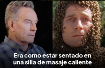 Las abejas de Hal en Malcom el de enmedio
