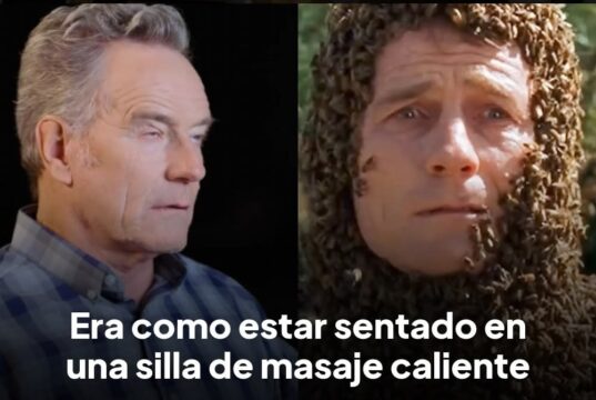 Las abejas de Hal en Malcom el de enmedio