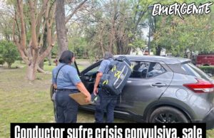 Conductor convulsiona y entra al parque Carretas