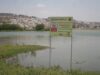 ELIMINAN LIRIO EN EL BORDO BENITO JUÁREZ