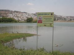 ELIMINAN LIRIO EN EL BORDO BENITO JUÁREZ